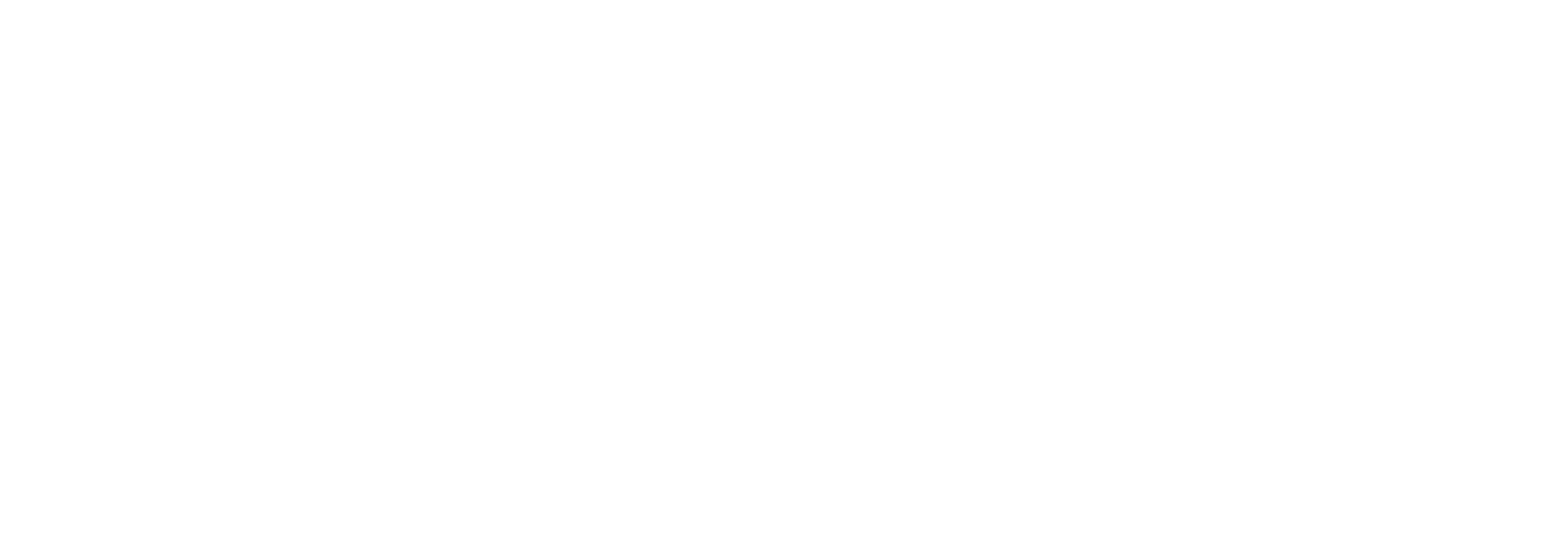 Vierimaa Consulting